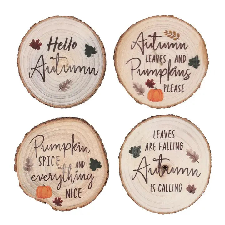 Wood Slice Coaster Set of 4