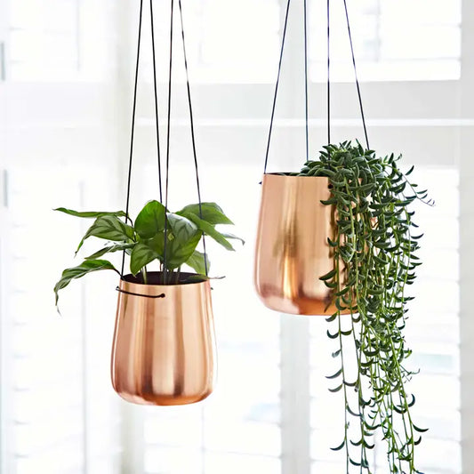Handmade Iron Hanging Planter