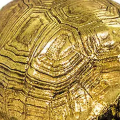 Small Gold Tortoise Figurine
